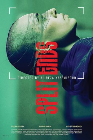 Split Ends (2021) poster