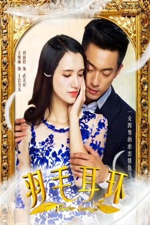 羽毛耳环 (2017) poster