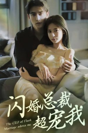 闪婚总裁超宠我 (2023) poster