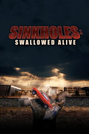 Sinkholes: Swallowed Alive (2019) poster