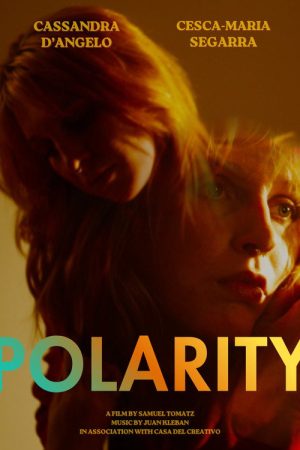 Polarity (2026) poster