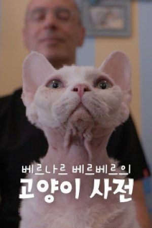 베르나르 베르베르의 고양이 사전 (2021) poster