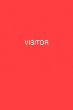 VISITOR (2022) poster