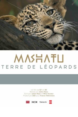 Mashatu: Land of Leopards (2024) poster
