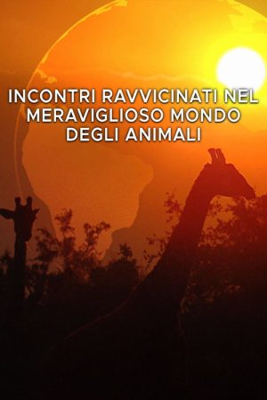 Incontri ravvicinati nel meraviglioso mondo degli animali (2020) poster