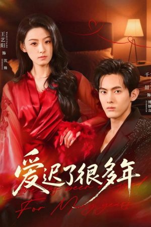 爱迟了很多年 (2026) poster