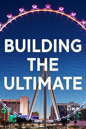 Building The Ultimate (2020) poster