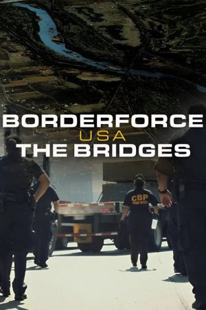 Borderforce USA: The Bridges (2019) poster