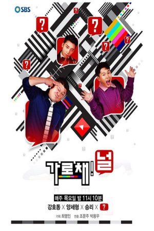 가로채널 (2018) poster