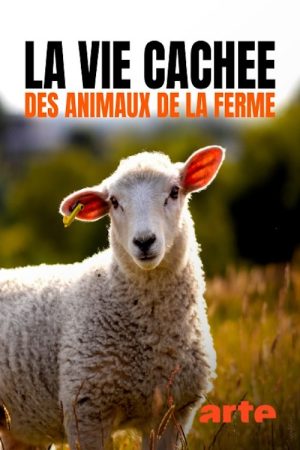 Wild Tales from the Farm (2021) poster