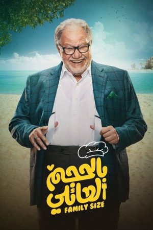 Family Size (2018) poster
