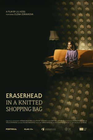 Eraserhead in a Knitted Shopping Bag (2025) poster