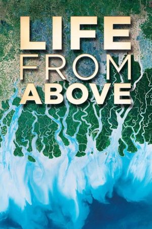 Life From Above (2019) poster