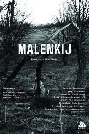 Malenkij (2025) poster