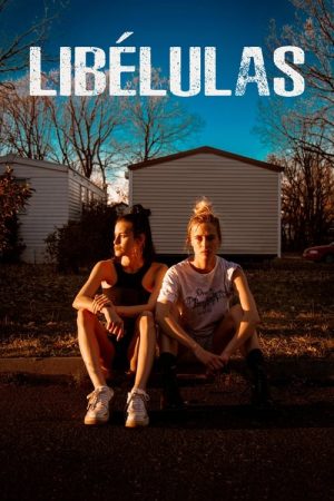 Dragonflies (2022) poster