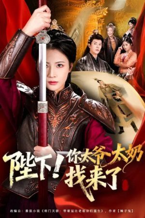 陛下！你太爷太奶找来了 (2025) poster