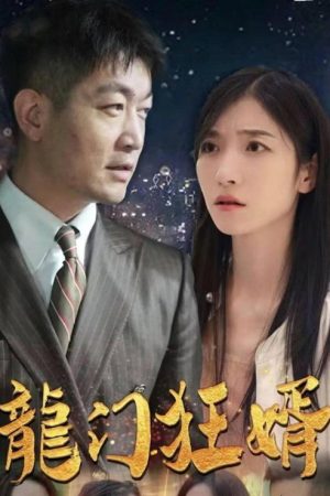 龙门狂婿 (2023) poster