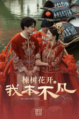 楝树花开之我本不凡 (2026) poster
