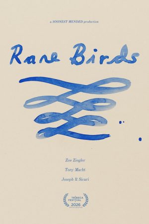 Rare Birds (2026) poster