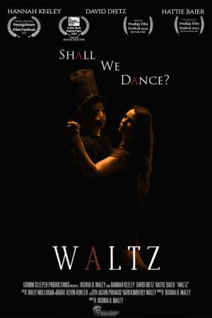 Waltz (2025) poster
