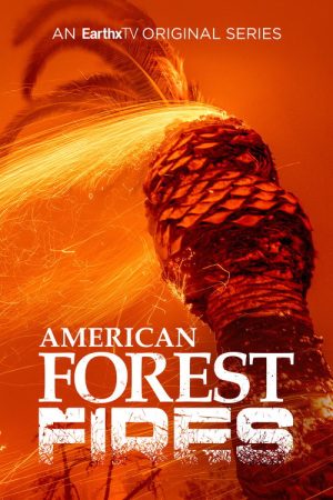 American Forest Fires: The Untold Story (2022) poster