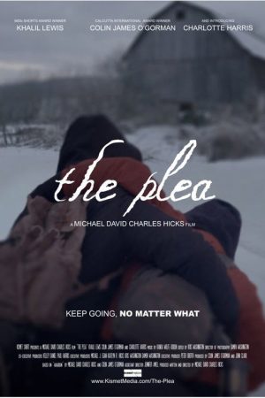 The Plea (2021) poster