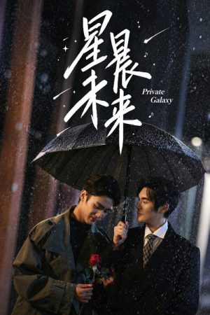 Private Galaxy (2026) poster