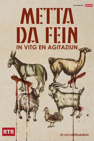 Metta da fein (2020) poster
