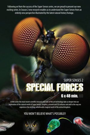 Animal Special Forces (2022) poster
