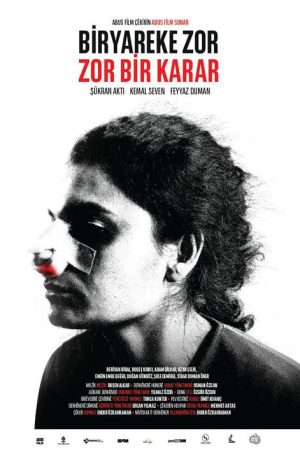 Ugly Ducking (2017) poster