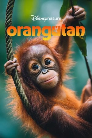 Orangutan (2026) poster