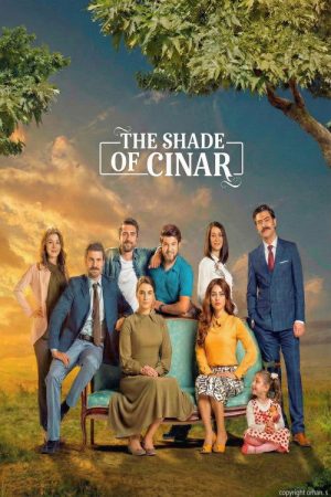 The Shade of Cinar (2015) poster