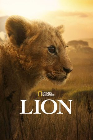 Lion (2026) Web Series — Cast, Story & Where to Watch | MovieLinkBD poster