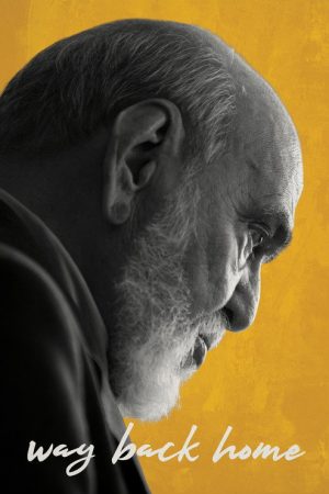 Way Back Home (2019) poster
