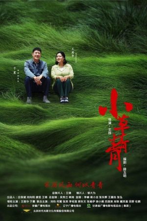 小草青青 (2016) poster