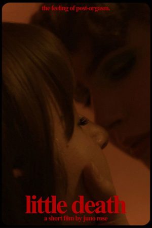little death (2025) poster
