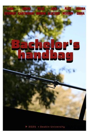 Bachelors Handbag (2025) poster