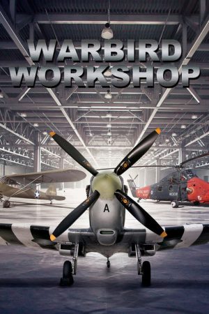Warbird Workshop (2020) poster