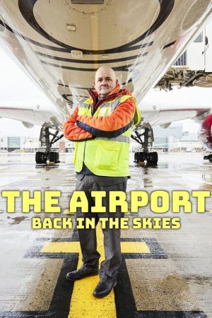 The Airport: Back in the Skies (2022) poster