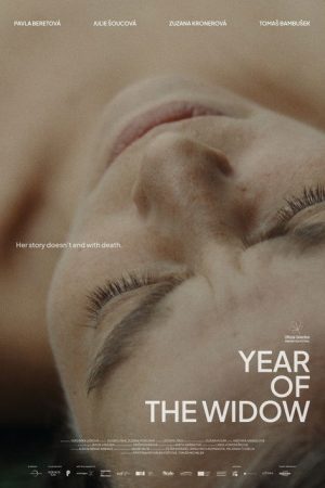 Year of the Widow (2024) poster
