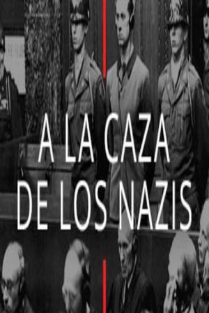 A la caza de los nazis (2016) poster