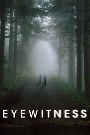 Eye Witness (2016) poster