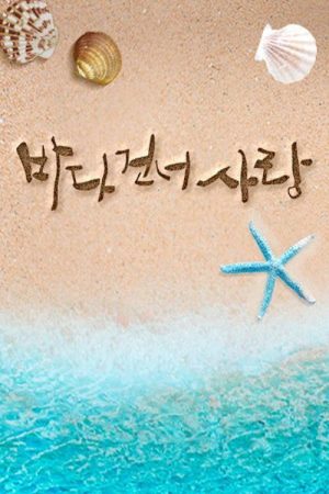 바다 건너 사랑 (2019) poster