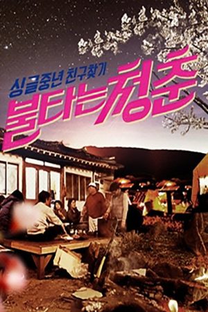 불타는 청춘 (2015) poster