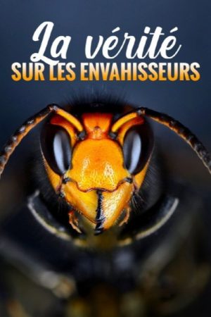 La vérité sur les envahisseurs (2023) poster