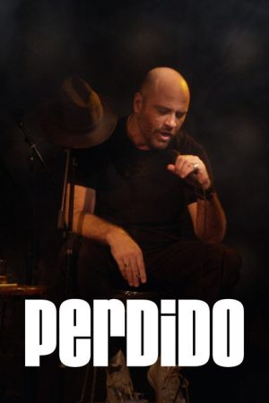 Perdido (2020) poster