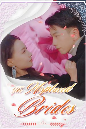 The Misplaced Brides (2025) poster