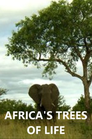 Africa’s Trees of Life (2016) poster