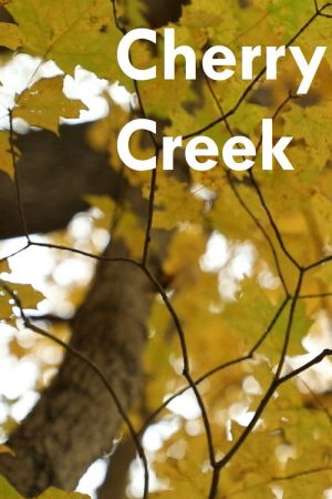 Cherry Creek (2025) poster