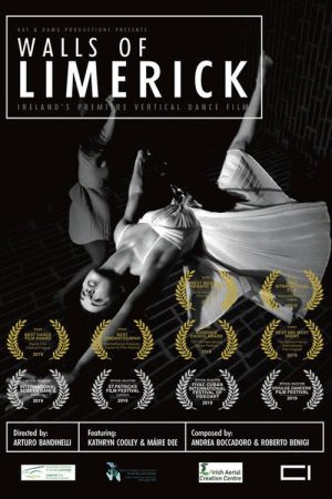 Walls of Limerick (2019) poster